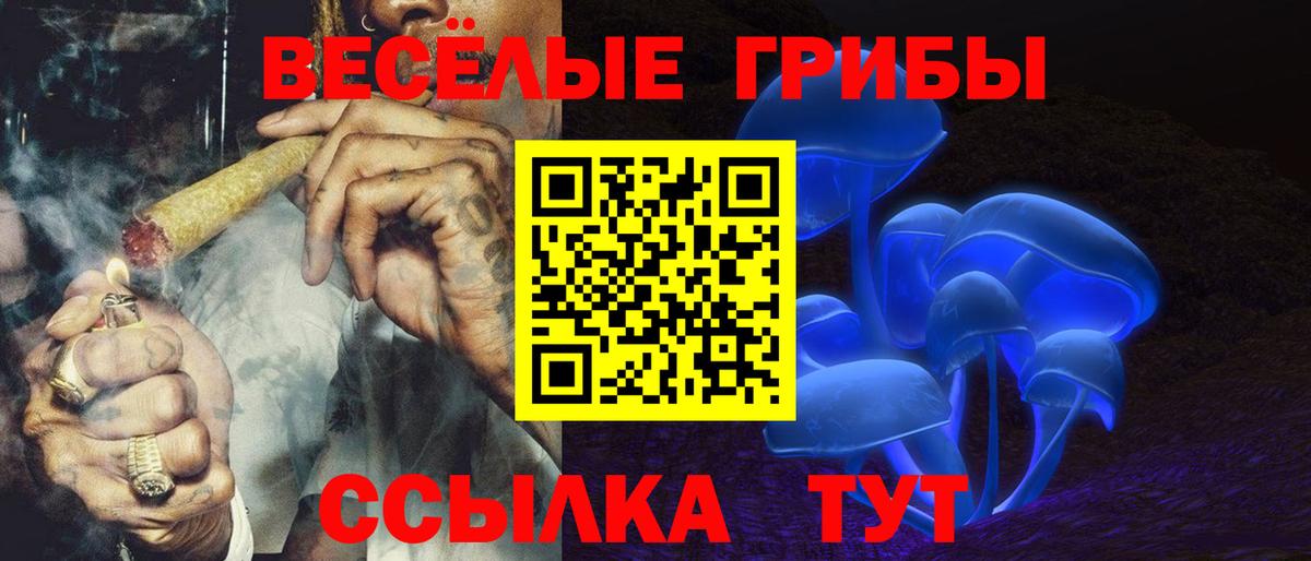Галлюциногенные грибы Psilocybe Калининград