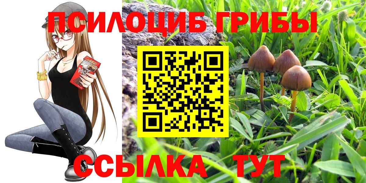 Калининград  Галлюциногенные грибы мухоморы  Вход с VPN 